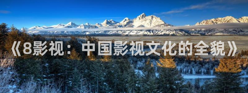 浮力影院最新发布地址：《8影视：中国影视文化的全貌》