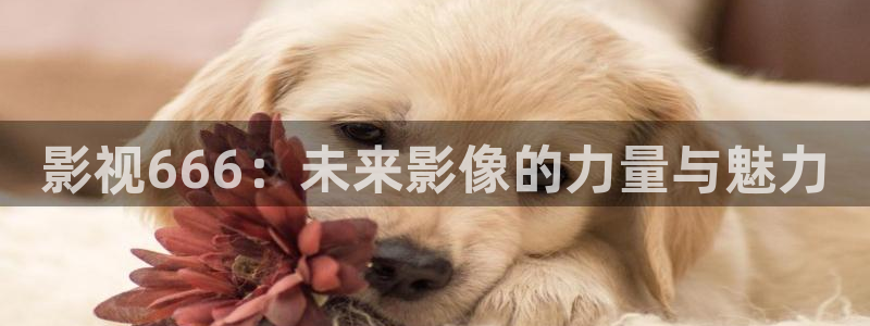 浮力影院在线最新路线